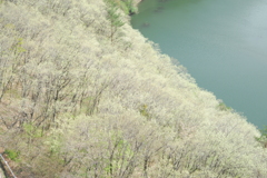 橋の上から