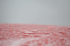 雨あがり