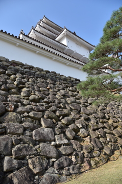 鶴ヶ城