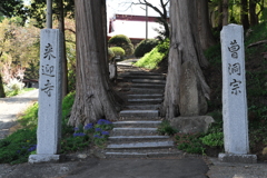 紫雲山　参道
