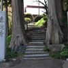 紫雲山　参道