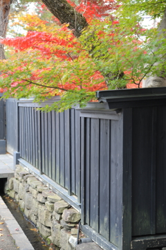 角館　紅葉