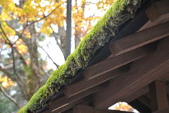 角館　紅葉