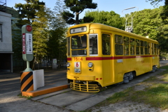DSC_1106