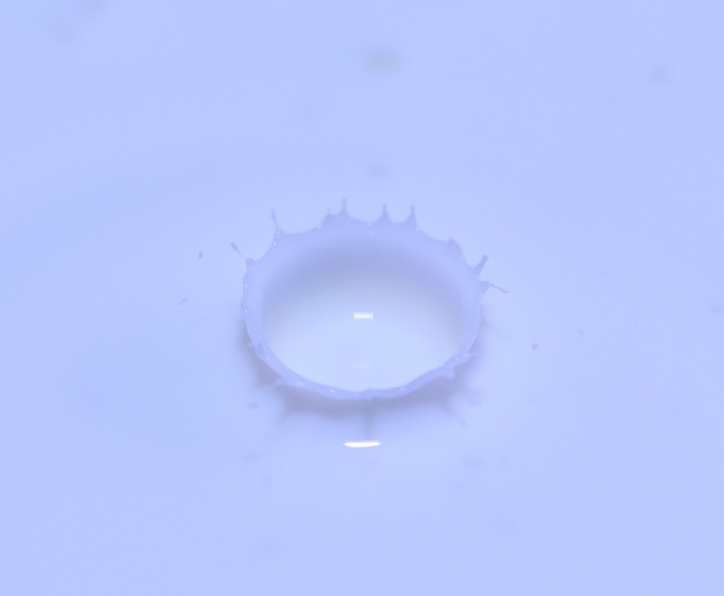 98F985FD-5AD6-478D-B86B-4FA09D3D82C9