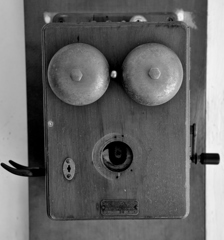 DSC_0631