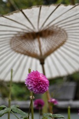3951CEC0-A668-4418-968D-5BBAE1789299