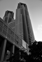 DSC_0568