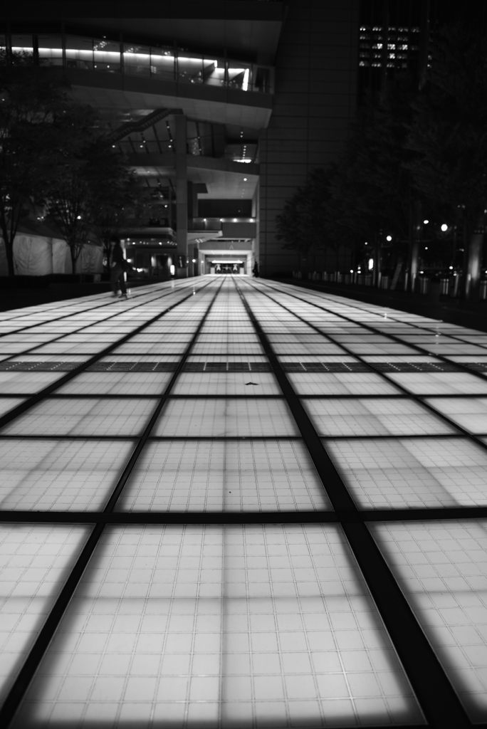 DSC_1265
