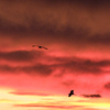 夕空