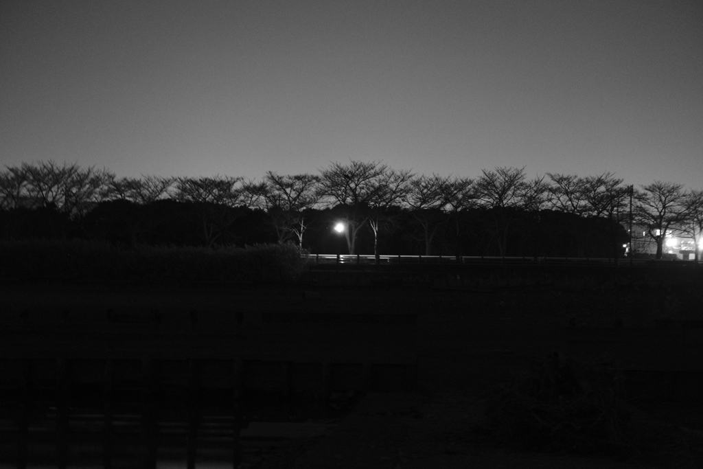 夜景