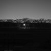 夜景