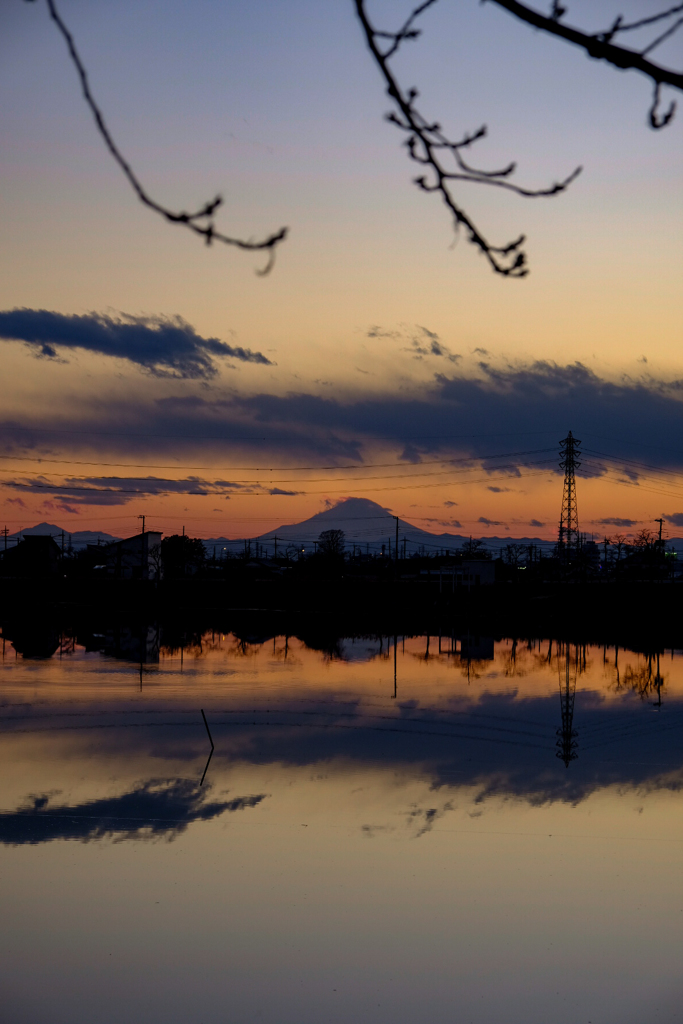 伊佐沼 富士山