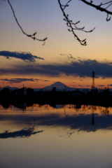 伊佐沼 富士山