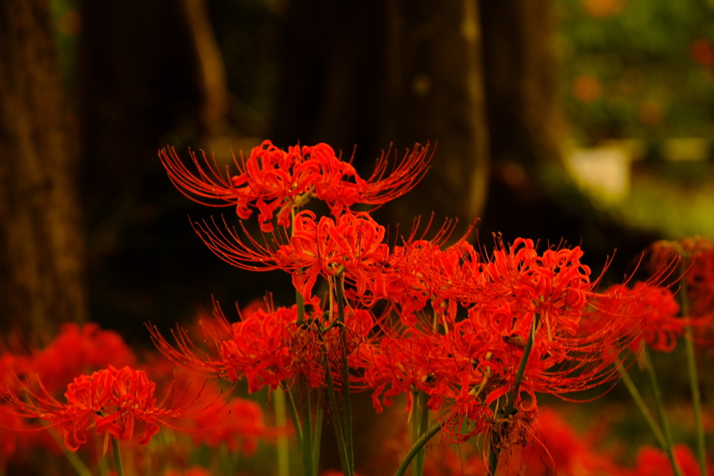 赤＝垢＝朱。。。