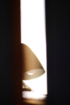 今日も自宅警備隊。。。