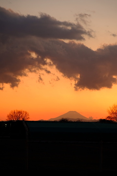 やっぱ富士山が好き♪