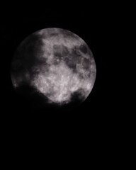 IMG_20240917_211208_993