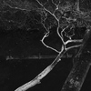 映える