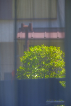 翠恋♪
