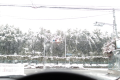 意外と降った。