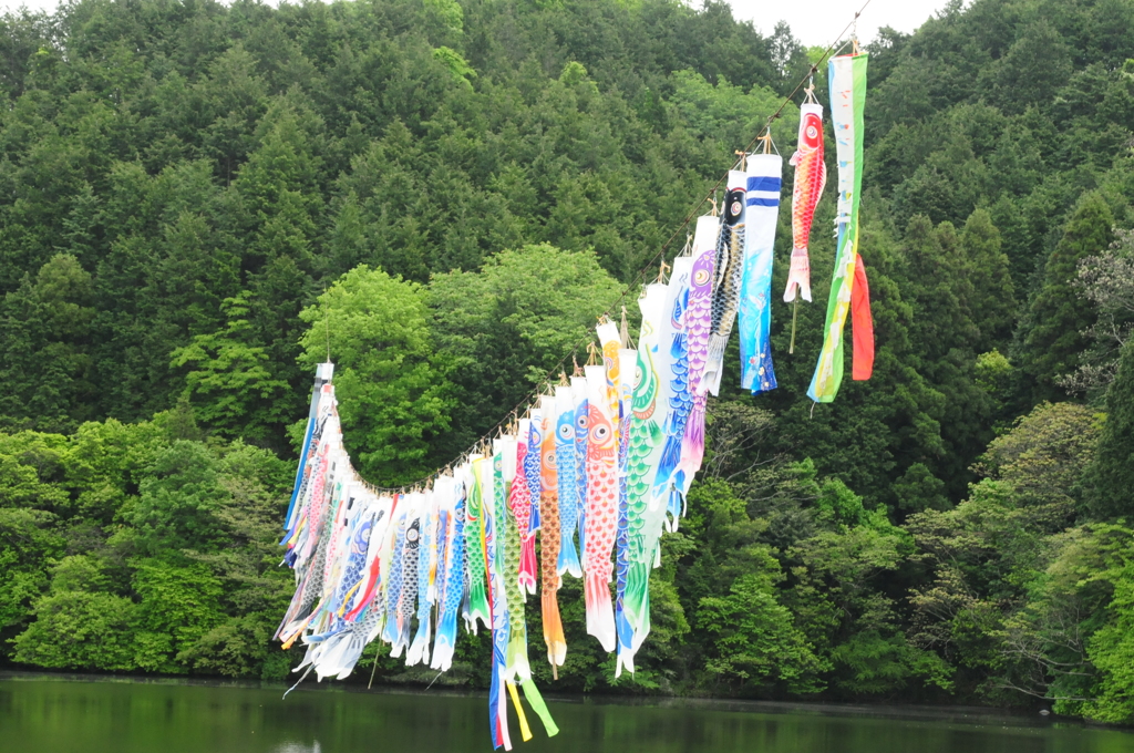 こいのぼり　　　　愛媛県東温市　