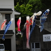 こいのぼり　菊間　瓦館