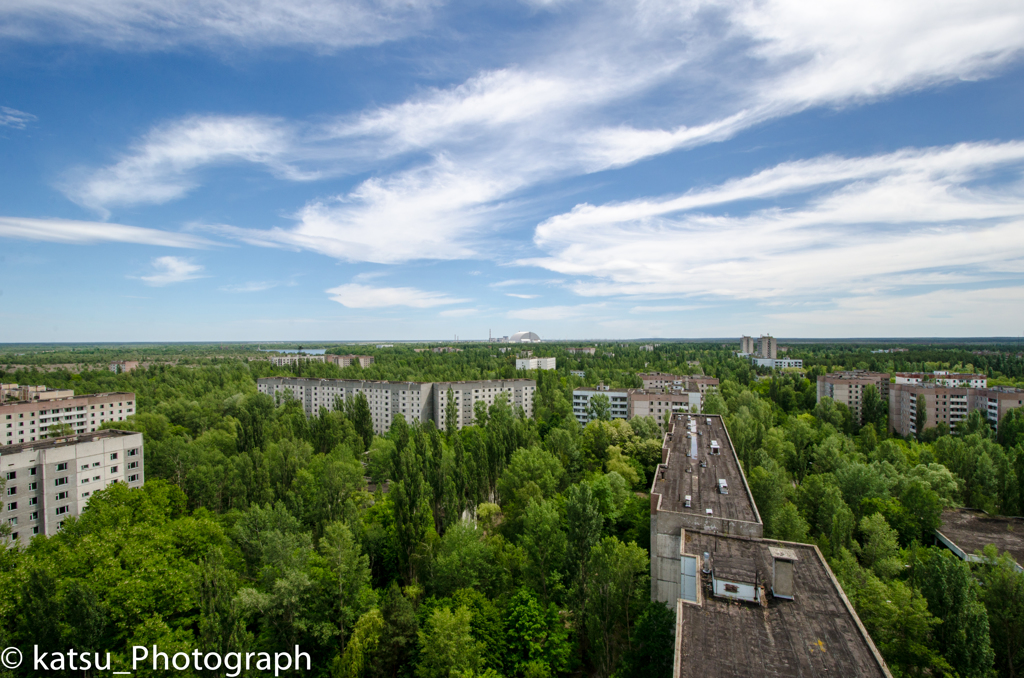 Chernobyl Jungle