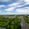 Chernobyl Jungle