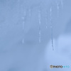 雪中