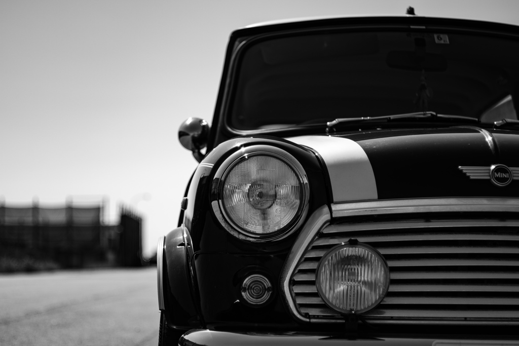 Rover mini cooper