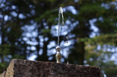 水飲み蛇口