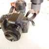 EOS Kiss x8i