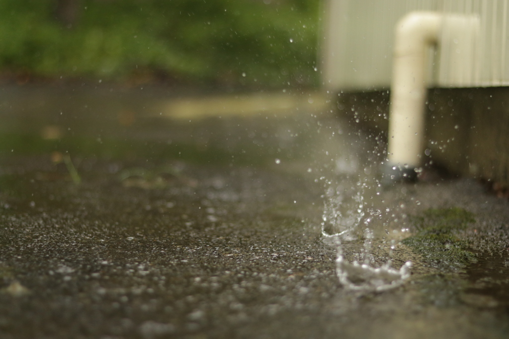 雨遊び
