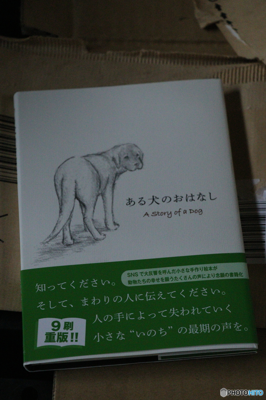2冊目