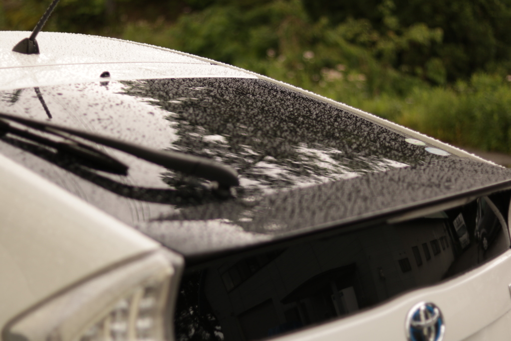 雨だから洗車