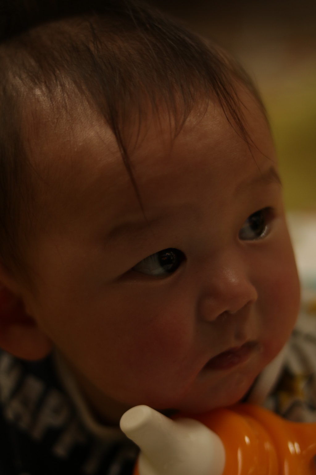 孫が遊びきました２