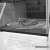 先人の知恵