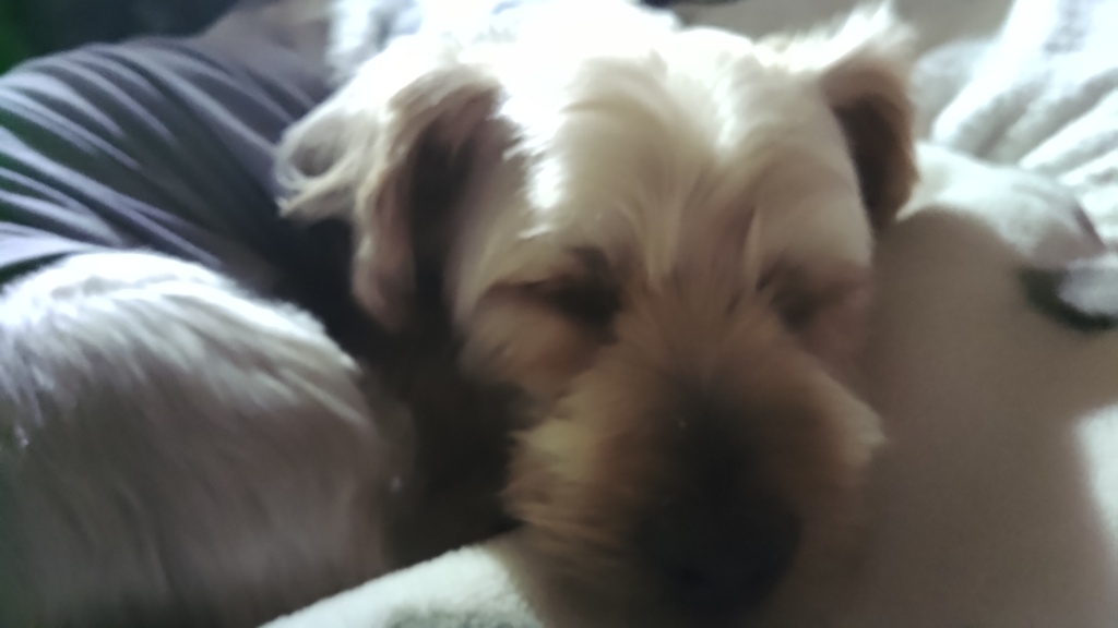 sleeping