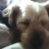 sleeping