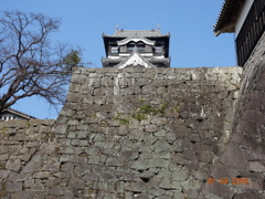 DSC00340熊本城２０１６1月4日