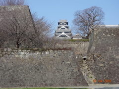 DSC00334熊本城２０１６1月4日