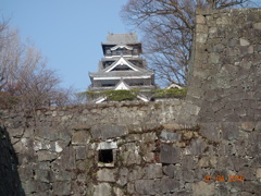 DSC00335熊本城２０１６1月4日