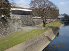 DSC00328熊本城２０１６1月4日