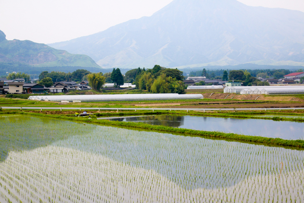 田舎の繁忙期