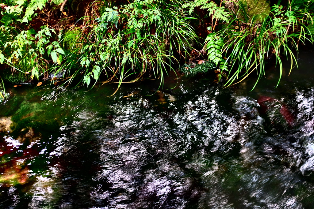 この水を頂いて、珈琲を淹れる…