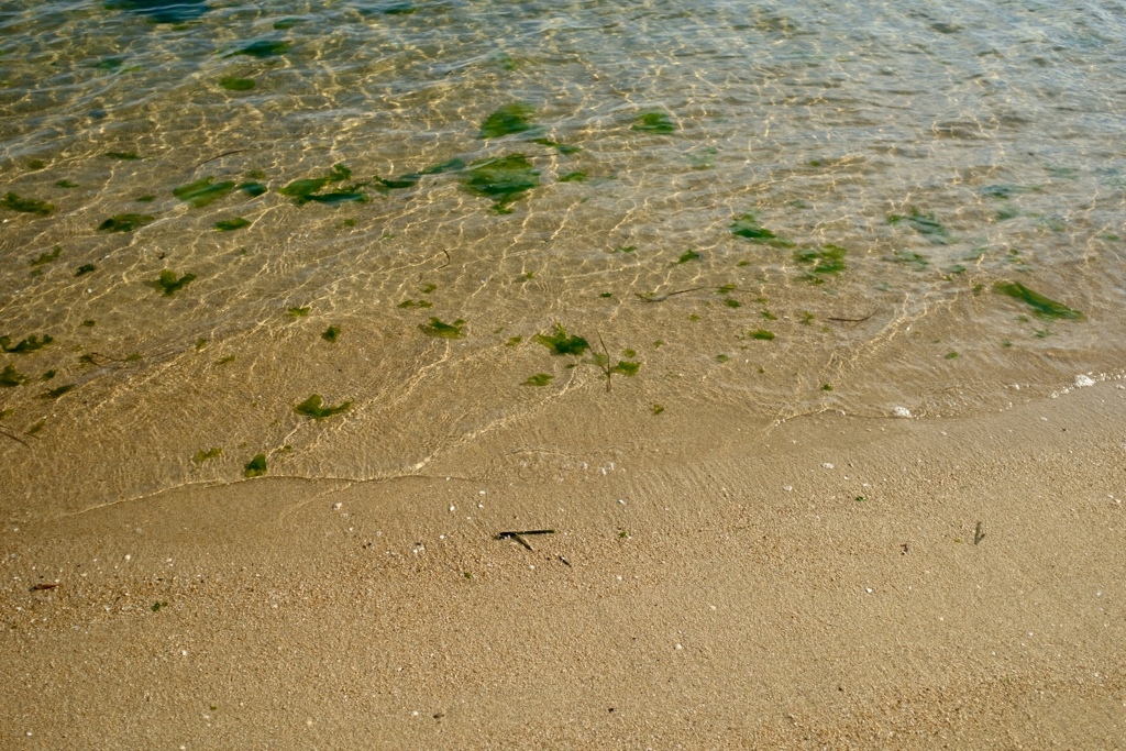 晩秋の海、美しい水