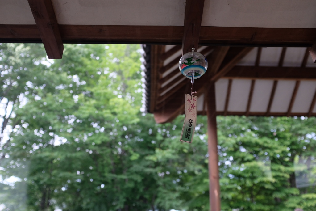 梅雨を飛ばして夏です