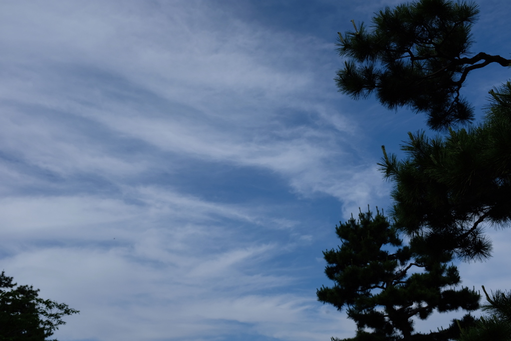 今日の空