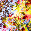 南牧の紅葉